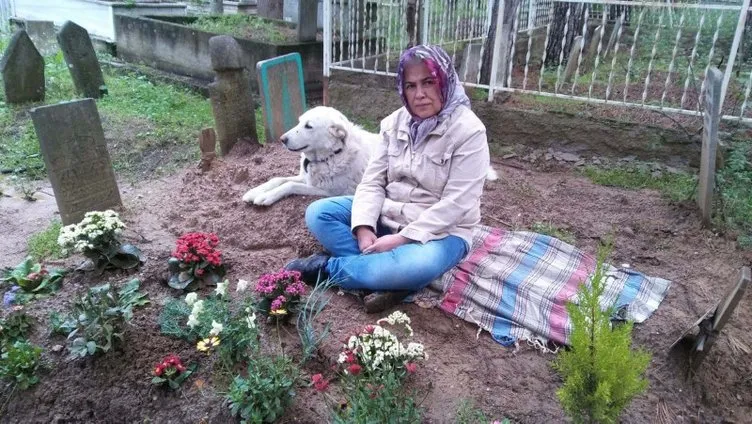 Başından vurularak katledilmişti: Tedavisini üstlendiği köpek mezarından ayrılmıyor!