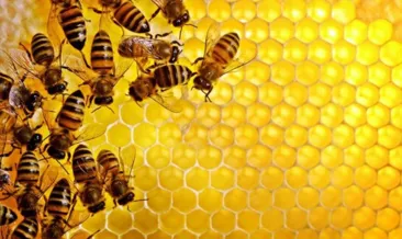 Estetik yerine bal maskesi