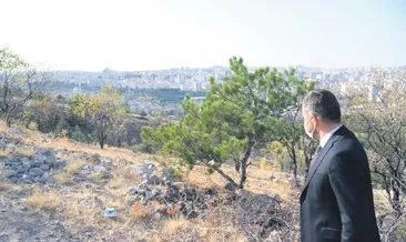 Pursaklar’da yeşil alan seferberliği