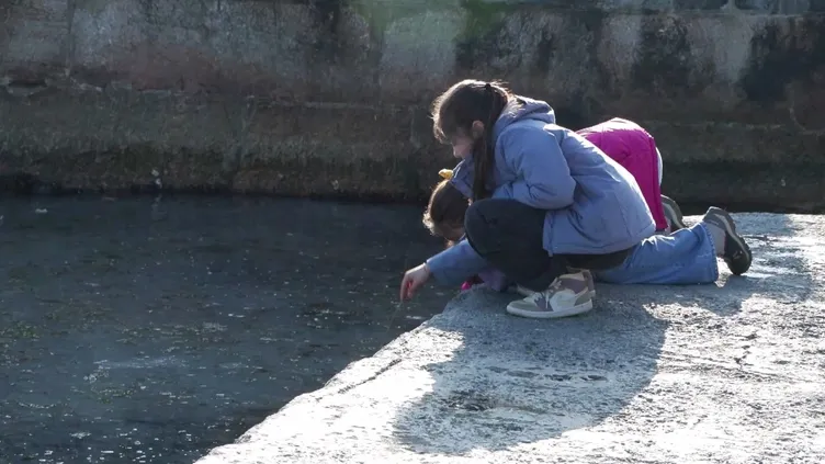 Denizanası müsilajı her yeri sardı: Manzara korkunç! Uzman isim altını çizerek vurguladı