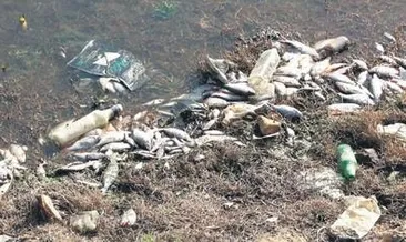 Çevreyi kirleten 9 şirkete ceza yağdı