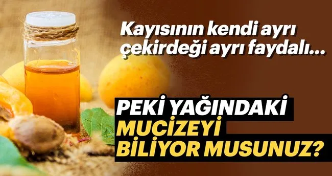 Kayısı yağının mucize faydaları