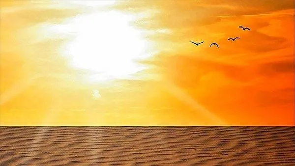 Prof Dr. Levent Kurnaz: İklim krizinin getireceği 4 tane büyük felaket var