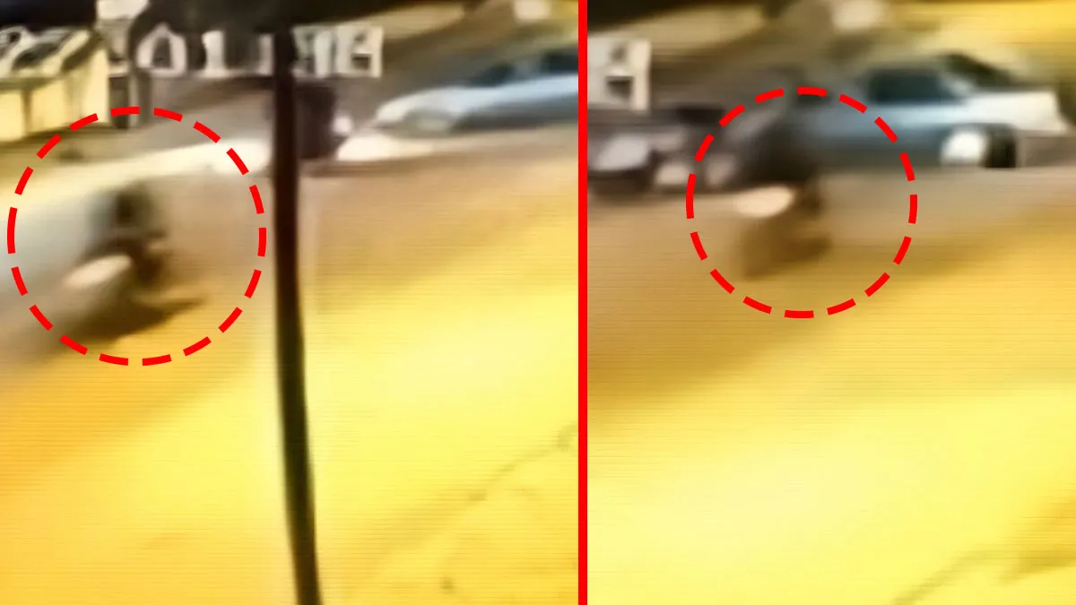 Hatay’da feci kaza! 2 motosiklet otomobile ok gibi saplandı: O anlar güvenlik kamerasına böyle yansıdı! Hatay’da feci kaza! 2 motosiklet otomobile ok gibi saplandı: O anlar güvenlik kamerasına böyle yansıdı!