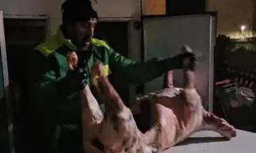 Bursa’da otoparkta iğrenç görüntü: Kaçak kesim 1,5 ton et ele geçirildi!