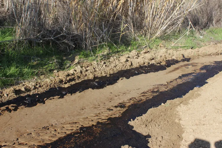 O ilimizi yine heyecan sardı: Su ararken petrol buldu!