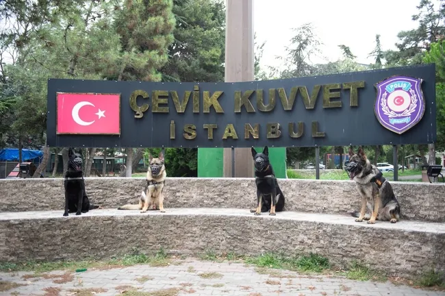 patili-kahramanlar-gorev-basinda-emniyetin-gizli-gucu-asayis-kopekleri-1754289971777.jpeg Patili kahramanlar görev başında: Emniyet'in gizli gücü asayiş köpekleri