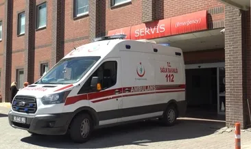 Kene yine can aldı!