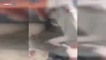 Manisa’da kan donduran görüntüler: Darbettiği kız kardeşinin üzerine kaynar su döküp sosyal medyada paylaştı!
