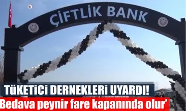 Bedava peynir fare kapanında olur