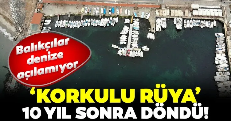 SON DAKİKA: Marmara’da korkulu rüya 10 yıl sonra döndü! Balıkçılar denize açılamıyor