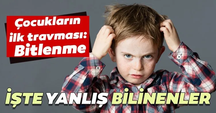 Çocukların ilk travması: Bitlenme