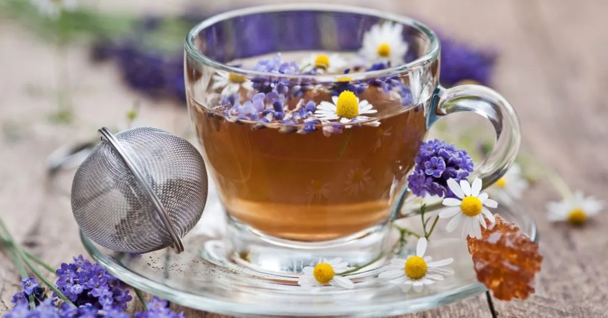 Lavanta çayının faydaları nelerdir ve nasıl demlenir? - Sağlık Haberleri