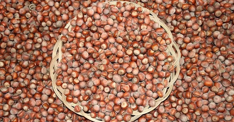 Fındıkta ihracat hedefi 280 bin ton