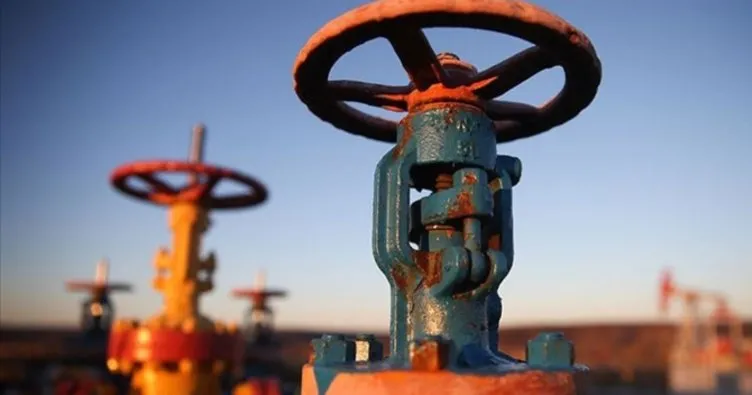 IEA Yönetici Direktörü Birol: Küresel petrol talebinde yapısal düşüş yok