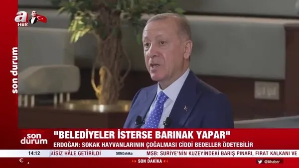 Başkan Erdoğan'dan sokak hayvanları ve barınak açıklaması | Video