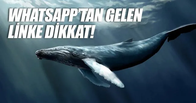 Whatsapp Tan Gelen Linke Dikkat En Son Haber