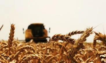 Bu yıl yağlı tohum üretiminde artış öngörülüyor
