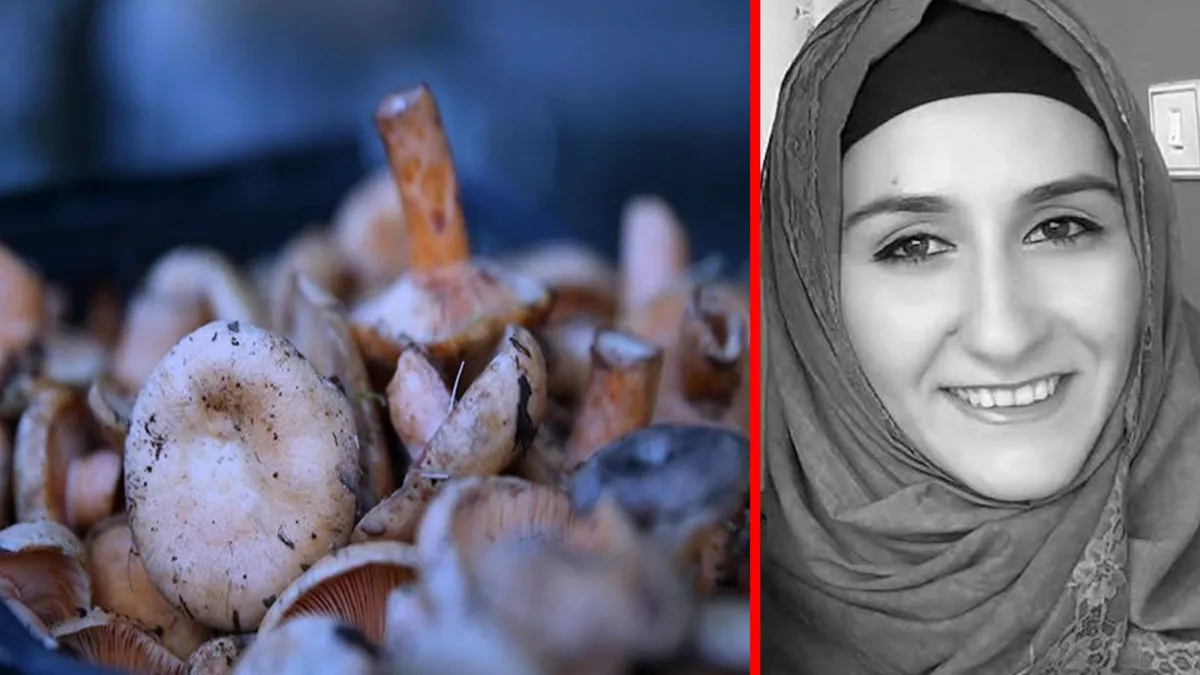 Çorum’da acı olay! Mantar zehirlenmesi şüphesiyle hastaneye kaldırıldı: 5 aylık hamile kadın hayatını kaybetti! Çorum’da acı olay! Mantar zehirlenmesi şüphesiyle hastaneye kaldırıldı: 5 aylık hamile kadın hayatını kaybetti!