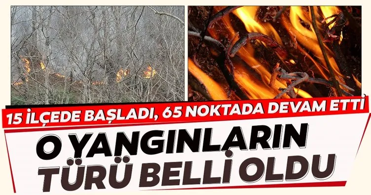 Tarım ve Orman Bakanı Bekir Pakdemirli’den Karadeniz’deki yangınlarla ilgili son dakika açıklaması