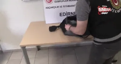 Piton yılanı kaçakçılığı pes dedirtti: Kapıkule’de 32 piton yılanı yakalandı | Video