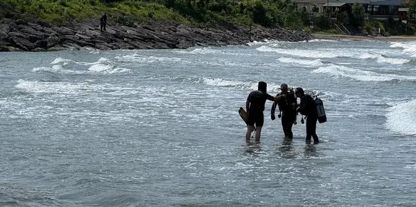 Arama Çalışmaları