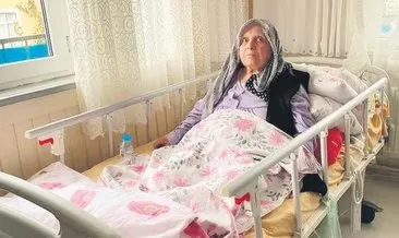 Pitbull, yaşlı kadının bacağını koparmıştı: Ödül gibi cezaya büyük tepki #istanbul