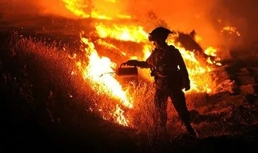 HP orman yangını yüzüne arşivlerini kaybetti