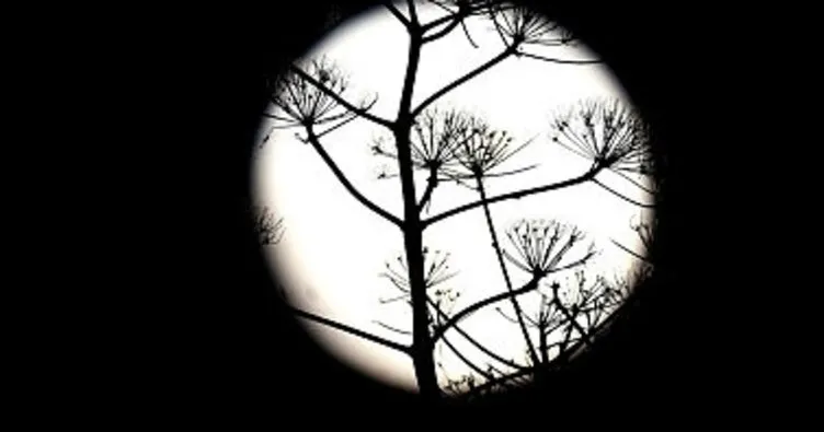 Bodrum’da süper ay güzelliği