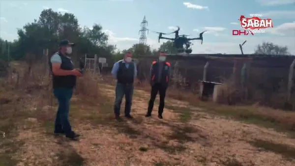 Bursa'da insansız hava aracı ile yaban hayatı envanteri gerçekleştirildi | Video