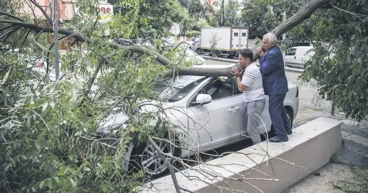 Ankara’da fırtına ağaçları devirdi