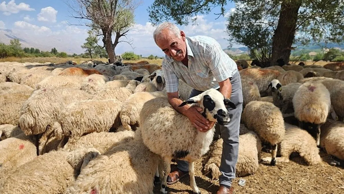Çoban maaşları 130 bin liraya çıktı