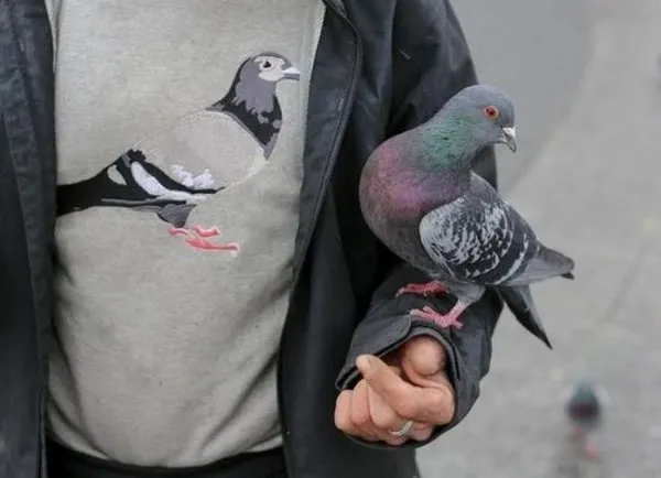 İşte birbirinden ilginç kareler!