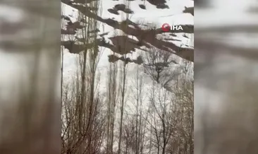 Yüksekova’da çığ paniği: Köy halkı faciadan döndü