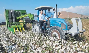 Amik Ovası’nda pamuk hasadı başladı