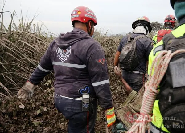 Korkunç görüntüler ortaya çıktı