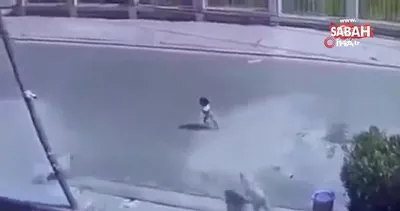 Irak’ta sokak köpekleri çocuğa saldırdı | Video