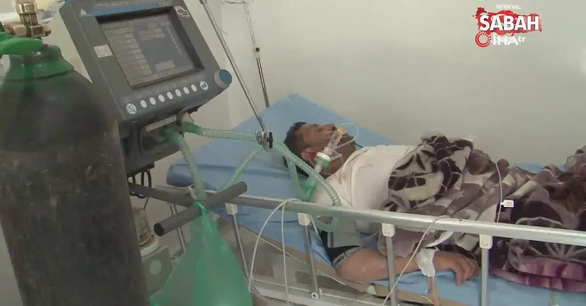 yemen de domuz gribinden 8 kisi oldu