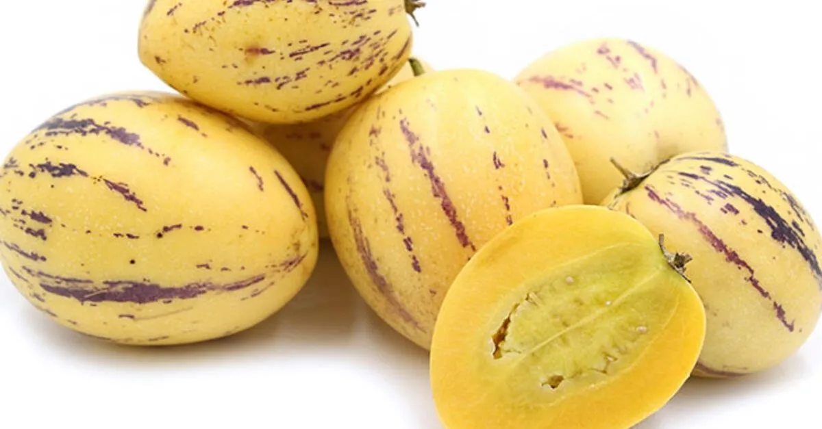 Pepinonun Faydalari Nelerdir Ne Ise Yarar Pepino Meyvesi Ne Zaman Ve Nasil Yenir Saglik Haberleri