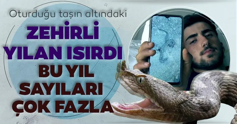 Bingöl’de zehirli yılanın ısırdığı genç Erzurum’da hayata tutundu