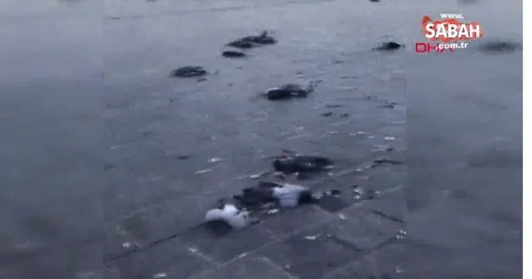 Eminönü Meydanı’nda otomobiliyle güvercinleri ezdi