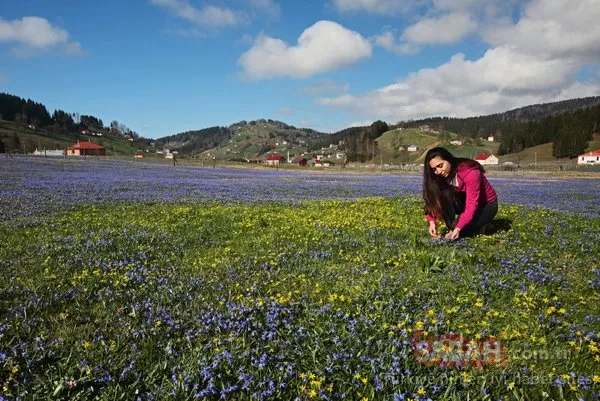 'Mor yayla'ya ziyaretçi akını