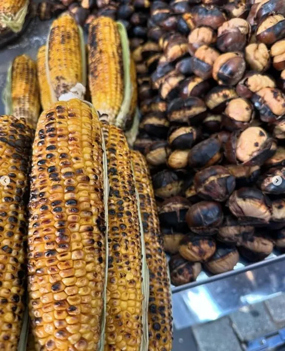 Esra Erol’un ‘bir günü’ nasıl geçer? Takipçileriyle paylaştı!