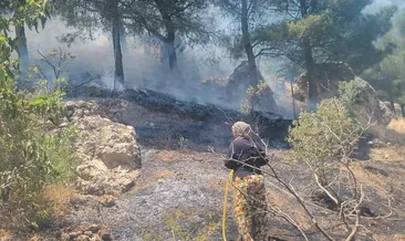 Kahramanmaraş’ta korkutan yangın