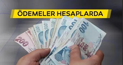 Çiftçiler dikkat! Tarımsal destekleme ödemeleri yatırıldı: 119 milyon TL...