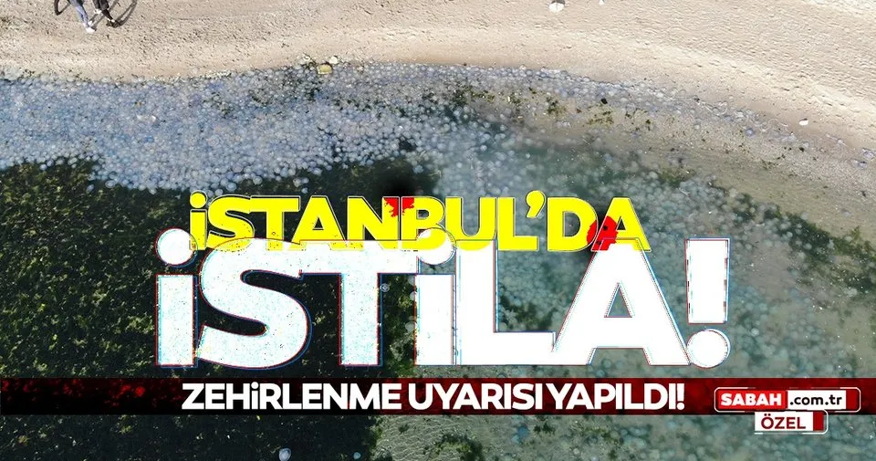 Son Dakika Haberleri - İstanbul'da denizanası istilası! Zehirlenme uyarısı