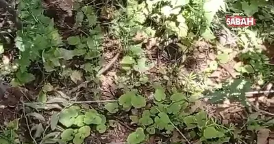 Terör örgütlerine nefes alamaz hale getirildi! Terör örgütlerine şehir ve kırsalda üst üste operasyon | Video