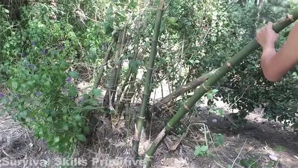 Denizden taşları toplayıp...