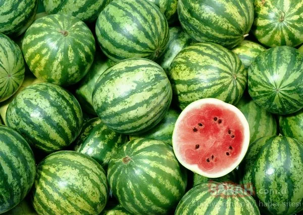 Karpuz diyeti nedir? 1 hafta 5 kilo verdiren karpuz diyeti nasıl yapılır? İşte mucizevi karpuz diyeti