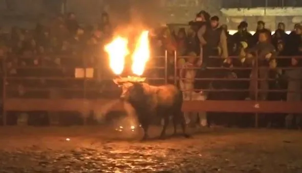 Böyle bir vahÅet görülmedi... Diri diri yaktılar...